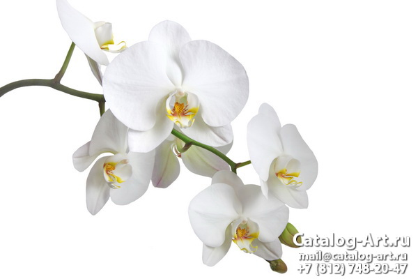 Натяжные потолки с фотопечатью - Белые орхидеи 33